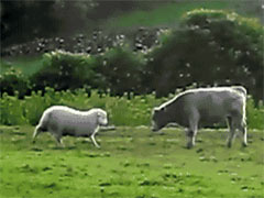 һ
