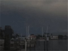 үĵͼ