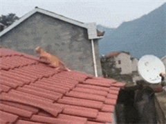 èôҲˤ